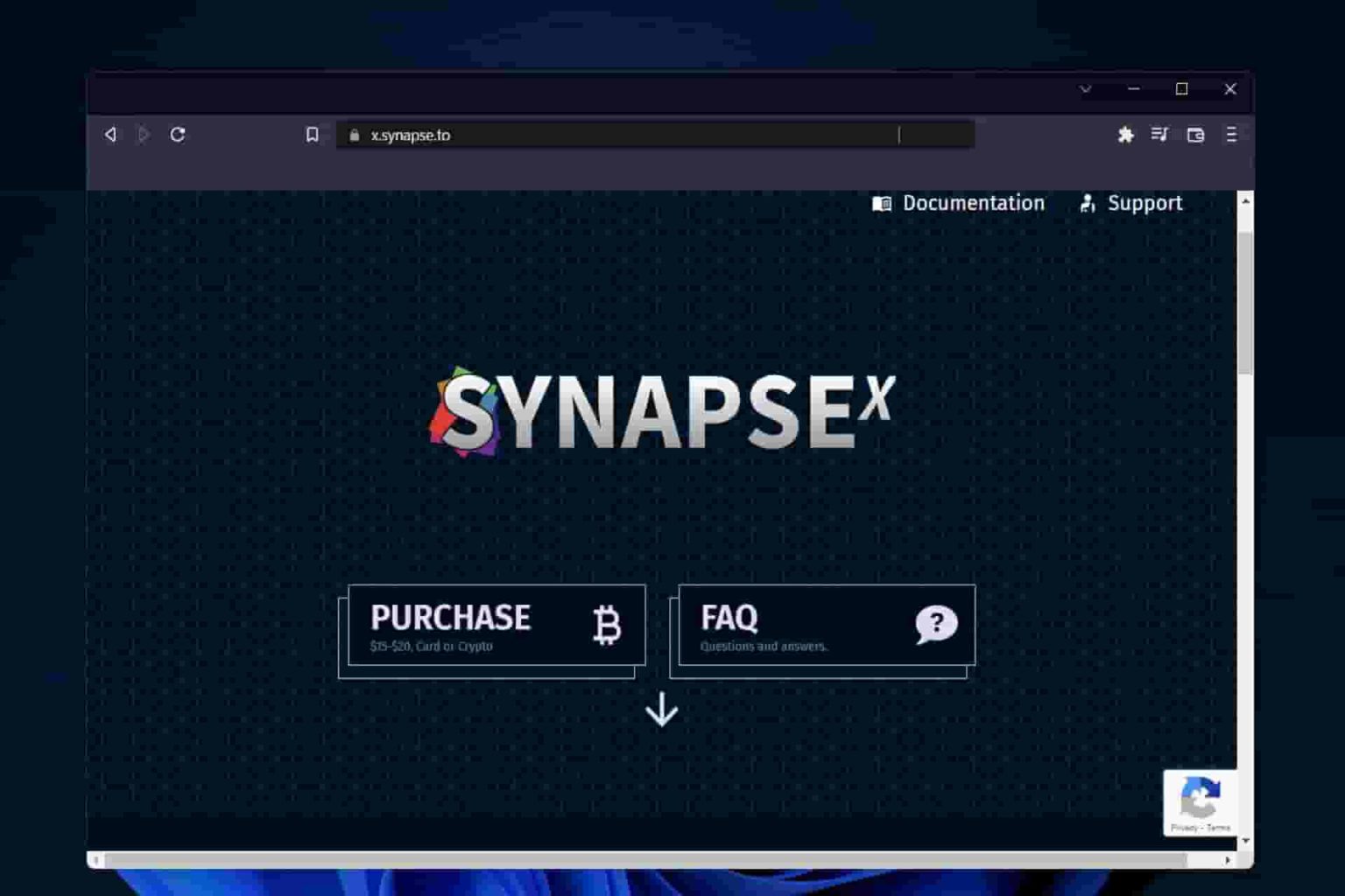 synapse x